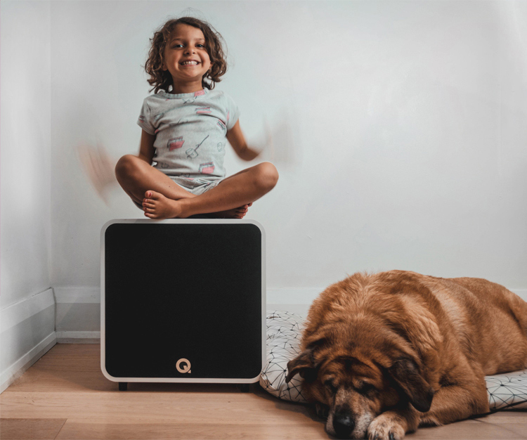 Q Acoustics Q B12 all-action